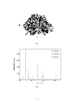 AU2016415075A1-patent-drawing