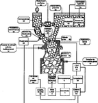 BR102013028094A2-patent-drawing