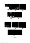 BR102014025659B1-patent-drawing