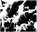 CN110229387A-patent-drawing