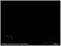 CN110767778B-patent-drawing