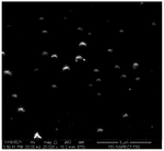 CN113244134A-patent-drawing