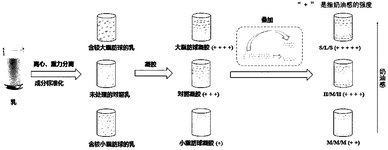 CN113397157B-patent-drawing