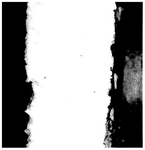 CN113647568B-patent-drawing