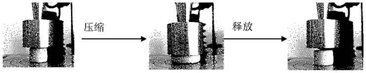 CN114027392A-patent-drawing