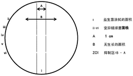 CN117717569A-patent-drawing