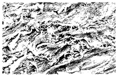 CN117898365A-patent-drawing