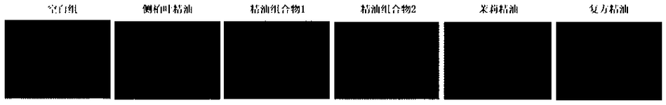 CN118490754A-patent-drawing