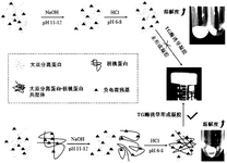 CN118638175A-patent-drawing