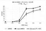 CN119112913A-patent-drawing