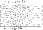 CN217753373U-patent-drawing
