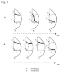 EP3498110A1-patent-drawing