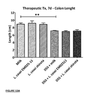 EP4070670A1-patent-drawing