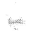 IL315334A-patent-drawing