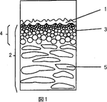 JP2000070939A-patent-drawing
