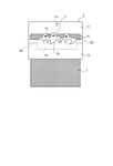 JP3233925U-patent-drawing