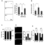 KR101784055B1-patent-drawing