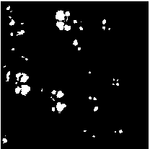 KR20180079501A-patent-drawing