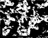 KR20200117905A-patent-drawing