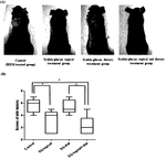 KR20220019137A-patent-drawing