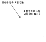 KR20220048514A-patent-drawing
