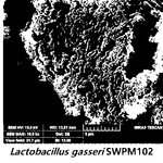 KR20230134354A-patent-drawing