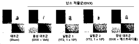 KR20240053106A-patent-drawing