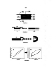 MX2019005591A-patent-drawing