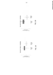 MX2022009301A-patent-drawing