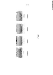 MX2022012175A-patent-drawing
