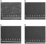 US10793696B2-patent-drawing