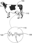 US11304399B2-patent-drawing