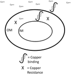 US11471497B1-patent-drawing