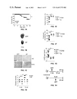 US11617773B2-patent-drawing