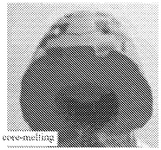 US12319778B2-patent-drawing