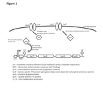 US2015044330A1-patent-drawing