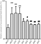 US20220265736A1-patent-drawing