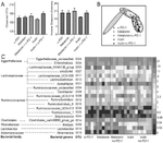US20220347294A1-patent-drawing