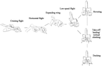 US2022081111A1-patent-drawing