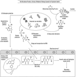 US2022096574A1-patent-drawing