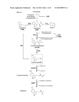 US20230098772A1-patent-drawing