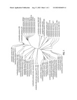 US20230256039A1-patent-drawing