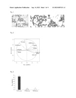 US20230287331A1-patent-drawing