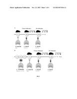 US20230372416A1-patent-drawing