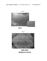 US20230381250A1-patent-drawing