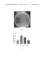 US20230381254A1-patent-drawing