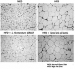 US2023038910A1-patent-drawing