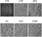 US2023157993A1-patent-drawing