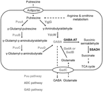 US2023190834A1-patent-drawing