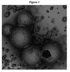 US2023277997A1-patent-drawing